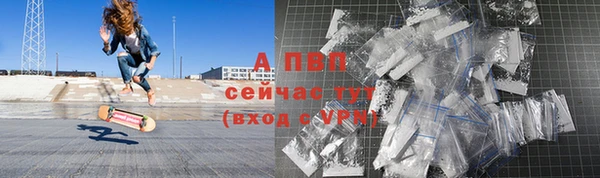 стаф Тобольск
