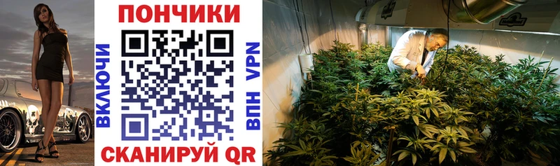 Конопля ГИДРОПОН  Городовиковск 